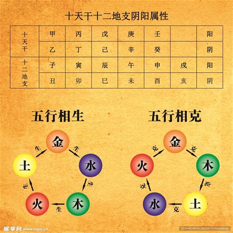 生肖五行五行相生相克